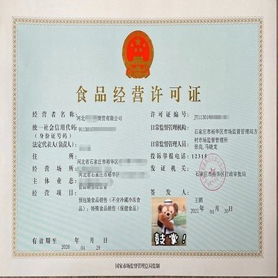 石家莊公司注冊：快至當(dāng)天出證，財稅代理與分公司注冊服務(wù)
